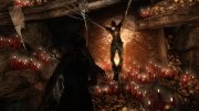 Tomb Raider: Survival Edition RePack �� R.G. ��������